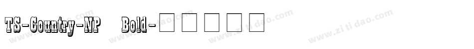 TS-Country-NP Bold字体转换